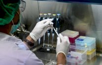 الخميس.. تقارير مبشّرة عن لقاح كورونا