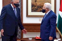 وزير الخارجية المصري: نرفض خطط الضم الإسرائيلية