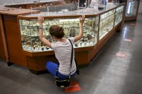 إسوارة العروس... أخذها كورونا!