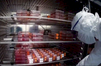 روسيا تأمل إنتاج مئتي مليون جرعة لقاح ضد كورونا