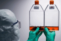 لقاحان ضد كورونا يظهران