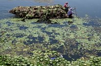 عزل الشطر الهندي من كشمير وإلغاء حج الهندوس مع تصاعد الإصابات بكورونا