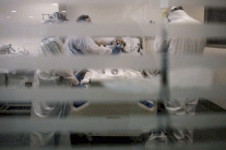 فنزويلا: سابقة ألف إصابة بكورونا في 24 ساعة