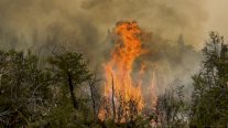 سبعة جرحى و15 مفقودا جراء حرائق غابات في الأرجنتين