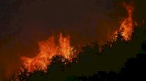 حرائق الغابات تتواصل بجنوب الأرجنتين