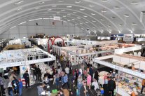 الآداب الإفريقية