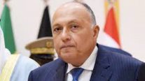 وزير الخارجية المصري يتوجه الإثنين الى سوريا وتركيا