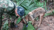 أربعة أطفال أحياء في الأمازون بعد أسبوعين على تحطم طائرتهم