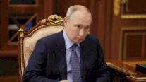 بوتين: 