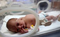 رحم الغزاوية.. 