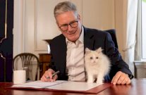 ستارمر يقدم Prince للعالم