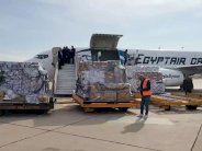 مصر تغيث سوريا بـ 15 طناً من الأدوية والمواد الغذائية