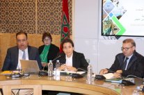 وزيرة مغربية تبرز بالبرلمان طموح بلادها في تطوير القطاع الطاقي