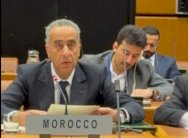 حموشي يشارك في الاجتماع الإقليمي لرؤساء الاستخبارات والأمن في فيينا