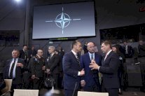 دول الناتو تخضع لإرادة ترامب