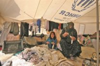 من الديكتاتورية والطغيان إلى «داعش» و «الإخوان»