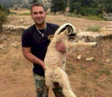 2014 سنة التواصل مع 