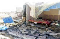 ﻿الجهاديون يتناسلون قبل مبارك وبعد السيسي