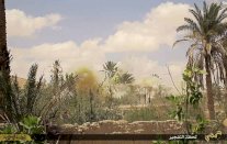 هبت عاصفة الجنوب :من درعا الى ....دمشق