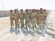 الجيش اليمني يدعو إلى الاستعداد لمعركة الحسم