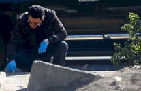 مصر حائرة بين البندقية وغصن الزيتون