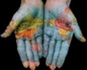 سنة أولى تدوين