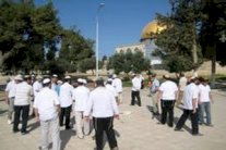 دعوات يهودية إلى اقتحام الأقصى لمدة أسبوع