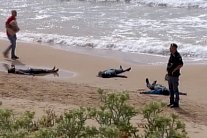 توقيف سبعة سوريين بعد وفاة 13 مهاجرا قرب صقلية