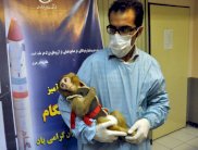 ايران سترسل مجددا قردا الى الفضاء الشهر القادم 