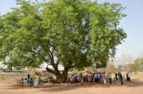  الأمم المتحدة تستنكر أحداث العنف في جنوب السودان