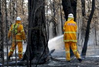 مقتل شخص وتدمير مئات المنازل جراء حرائق الغابات في استراليا