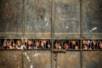 مصر الأسوأ عالميًا في نوعية التعليم الابتدائي