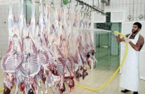 السعودية: توزيع 500 أضحية على اللاجئين السوريين في الأردن