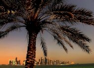 باريس تدعو الدوحة الى بادرة رأفة بالشاعر القطري المحكوم بالسجن