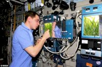 ناسا ستزرع شتلات على القمر اختباراً لعيش الإنسان على سطحه