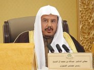 السعودية: لابد من ضمانات تضمن نجاح 