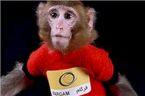 ايران تعلن أنها أرسلت قردًا ثانيًا إلى الفضاء