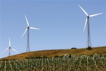 كيف تحول طعام المافيا الإيطالية إلى هدايا ميلادية؟