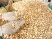 السعودية: احباط محاولة تهريب أكثر من 3 ملايين قرص امفيتامين 