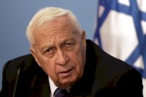 شارون أدرك أن احتلال فلسطين لن يستمر إلى الأبد