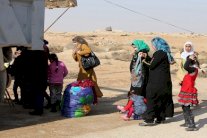 كربلاء... ملجأ الهاربين من معارك الفلوجة والرمادي 