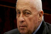 نصف مستخدمي الإنترنت الصينيين يرون شارون 