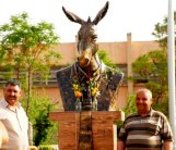 حزب الحمير الكردستاني يحل نفسه