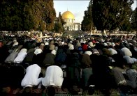 500 فلسطيني من غزة يصلون في الأقصى لاول مرة منذ 2007