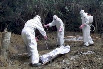 كوريا الجنوبية ترسل فريقًا طبيًا للخارج للحد من تفشي إيبولا