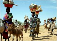 منع الأمم المتحدة في السودان من التحقيق في 