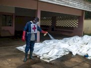 عشرات قتلوا في مجازر خلال الأسابيع الماضية في أفريقيا الوسطى