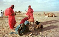 احكام بالسجن بحق ثمانية ناشطين ضد العبودية في موريتانيا 