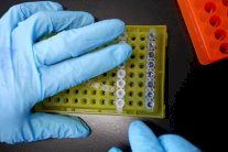 الدواء يشفط تريليون دولار من ثروات العالم