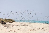 مياه دول التعاون الخليجي ستنضب عام 2040